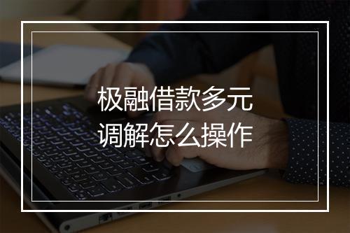 极融借款多元调解怎么操作