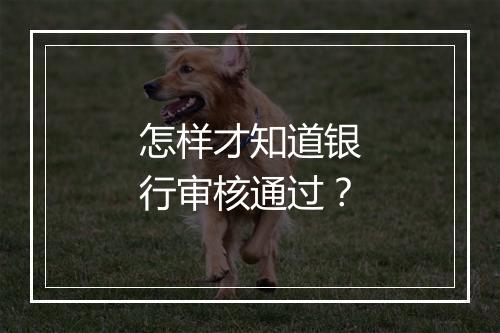 怎样才知道银行审核通过？