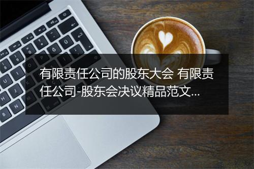 有限责任公司的股东大会 有限责任公司-股东会决议精品范文7篇