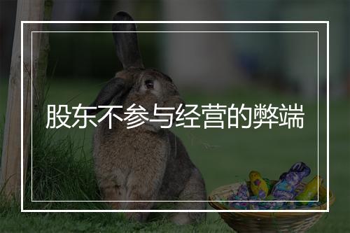 股东不参与经营的弊端