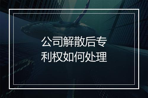 公司解散后专利权如何处理
