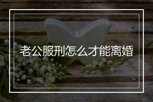 老公服刑怎么才能离婚