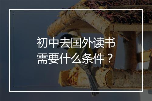 初中去国外读书需要什么条件？