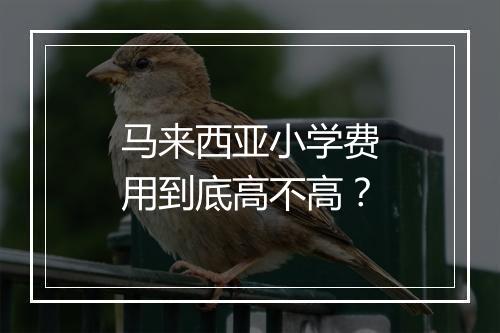 马来西亚小学费用到底高不高？