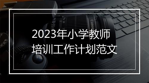 2023年小学教师培训工作计划范文