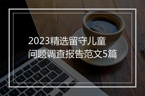 2023精选留守儿童问题调查报告范文5篇