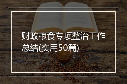 财政粮食专项整治工作总结(实用50篇)