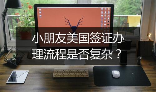 小朋友美国签证办理流程是否复杂？