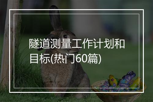 隧道测量工作计划和目标(热门60篇)
