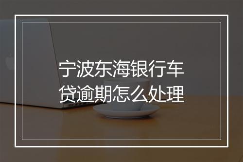 宁波东海银行车贷逾期怎么处理