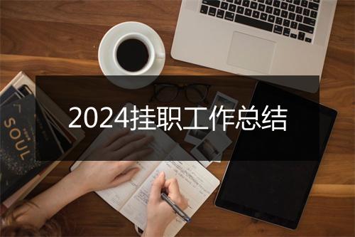 2024挂职工作总结