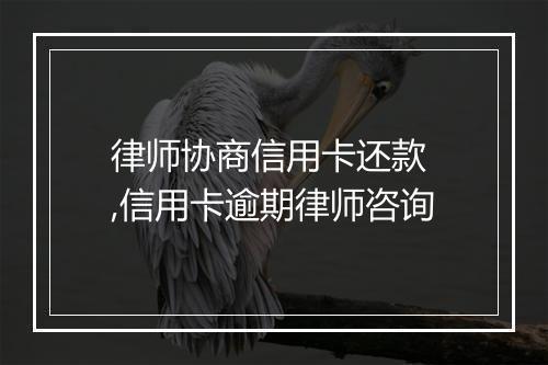 律师协商信用卡还款 ,信用卡逾期律师咨询