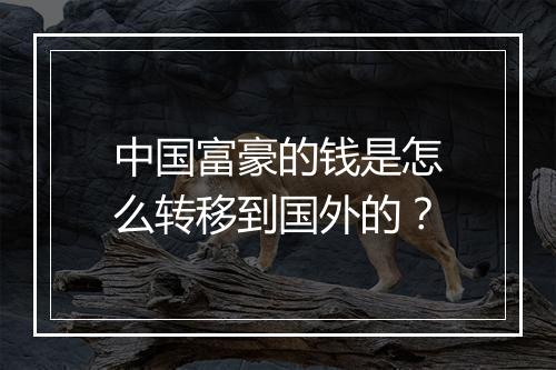 中国富豪的钱是怎么转移到国外的？