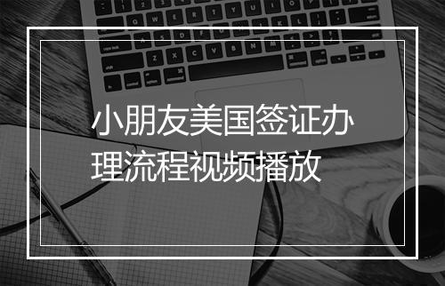 小朋友美国签证办理流程视频播放