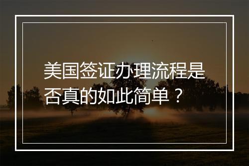 美国签证办理流程是否真的如此简单？