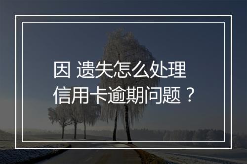 因 遗失怎么处理信用卡逾期问题？