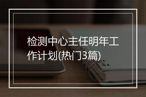 检测中心主任明年工作计划(热门3篇)