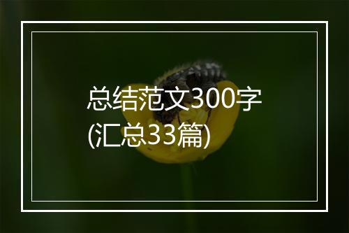 总结范文300字(汇总33篇)