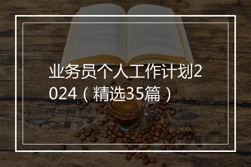 业务员个人工作计划2024（精选35篇）