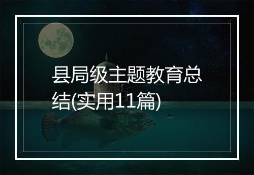 县局级主题教育总结(实用11篇)