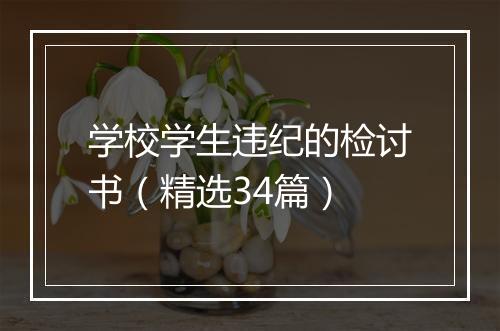 学校学生违纪的检讨书（精选34篇）