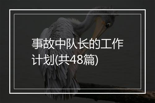 事故中队长的工作计划(共48篇)