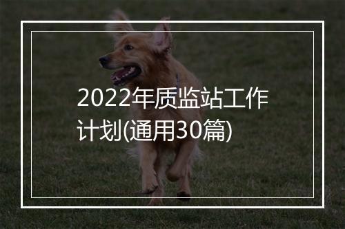 2022年质监站工作计划(通用30篇)