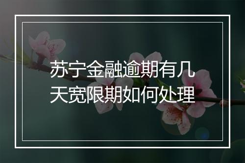 苏宁金融逾期有几天宽限期如何处理