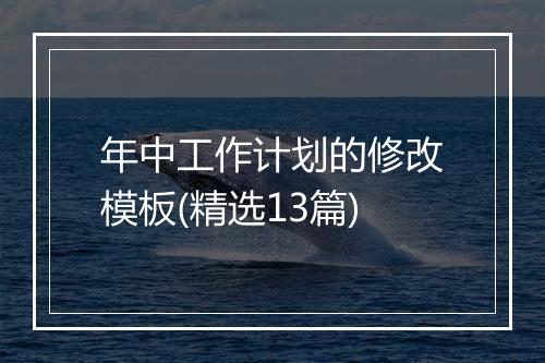 年中工作计划的修改模板(精选13篇)