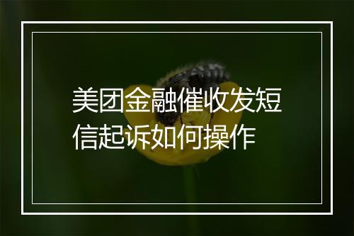 美团金融催收发短信起诉如何操作