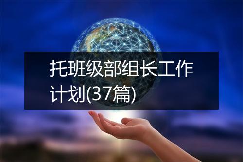 托班级部组长工作计划(37篇)