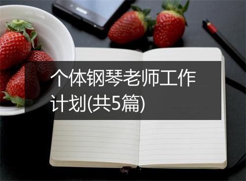 个体钢琴老师工作计划(共5篇)