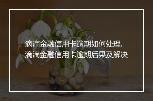滴滴金融信用卡逾期如何处理,滴滴金融信用卡逾期后果及解决