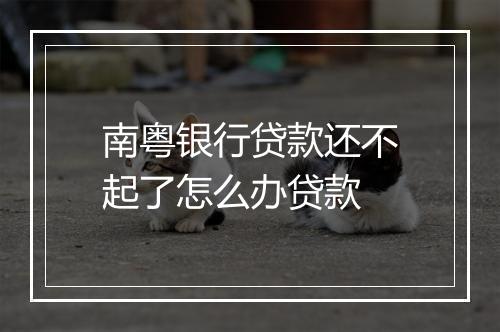 南粤银行贷款还不起了怎么办贷款