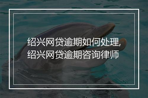 绍兴网贷逾期如何处理,绍兴网贷逾期咨询律师