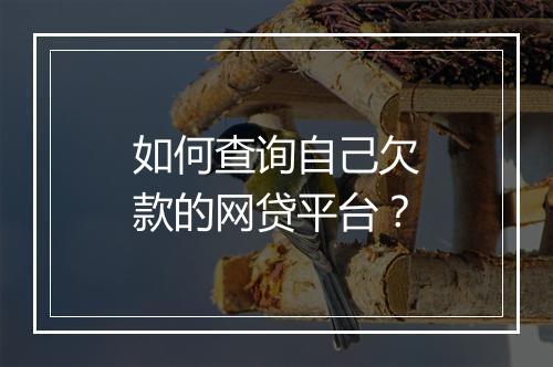 如何查询自己欠款的网贷平台？