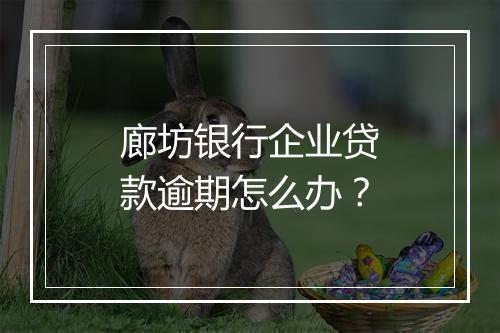 廊坊银行企业贷款逾期怎么办？