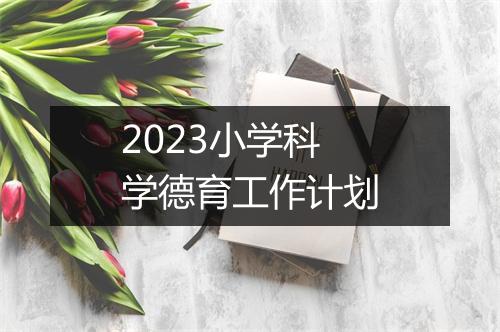 2023小学科学德育工作计划