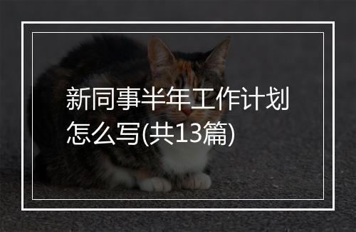 新同事半年工作计划怎么写(共13篇)