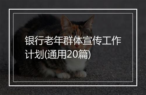 银行老年群体宣传工作计划(通用20篇)