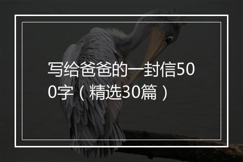 写给爸爸的一封信500字（精选30篇）