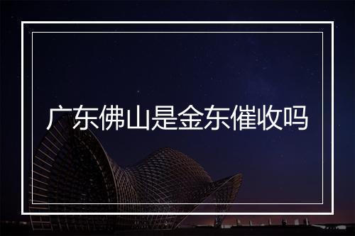 广东佛山是金东催收吗