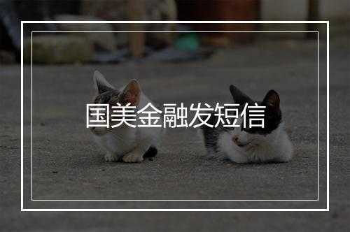 国美金融发短信