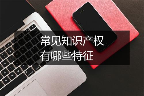 常见知识产权有哪些特征