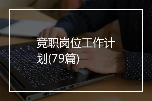竞职岗位工作计划(79篇)