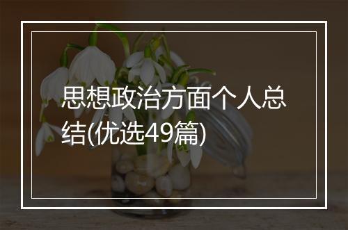 思想政治方面个人总结(优选49篇)