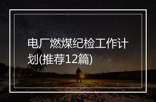 电厂燃煤纪检工作计划(推荐12篇)