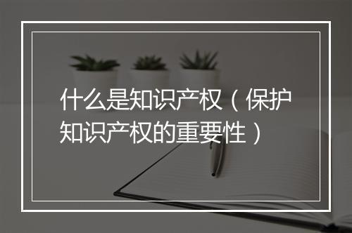 什么是知识产权（保护知识产权的重要性）
