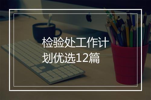 检验处工作计划优选12篇