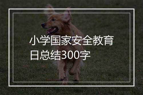 小学国家安全教育日总结300字